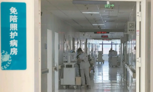 2025�o�����C�ύ����o���o����ȫ��ԇ�c